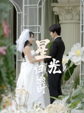 星光归途时封面