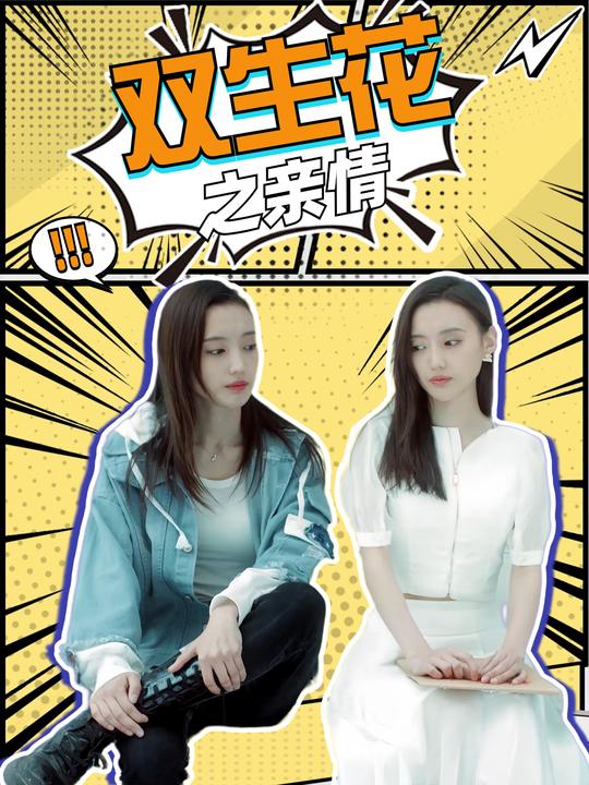 双生花之亲情(第三季)封面