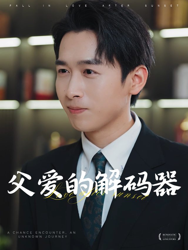 父爱的解码器封面