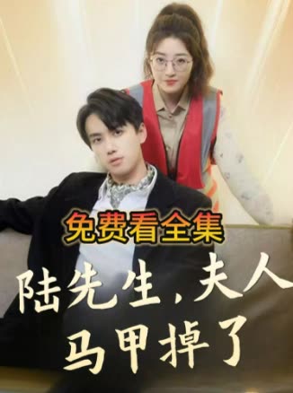 陆先生，夫人马甲掉了封面