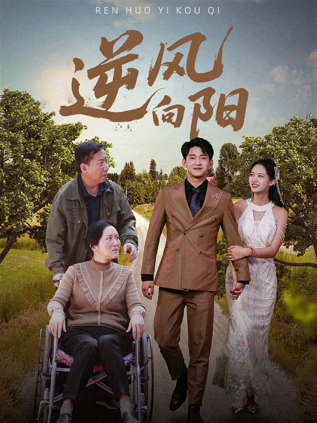 逆风向阳封面