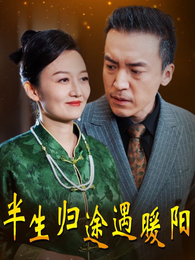 半生归途遇暖阳封面