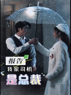 报告,我家司机是总裁封面