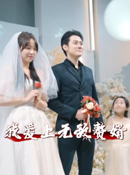我爱上无敌赘婿封面