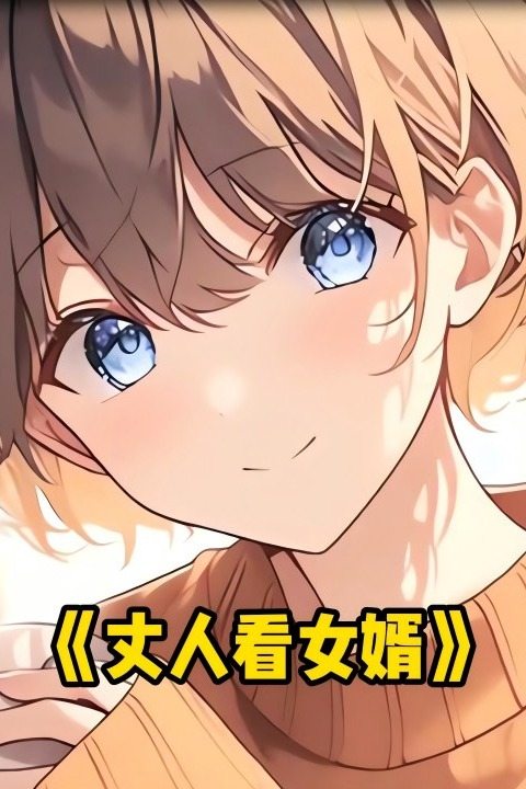 丈人看女婿封面