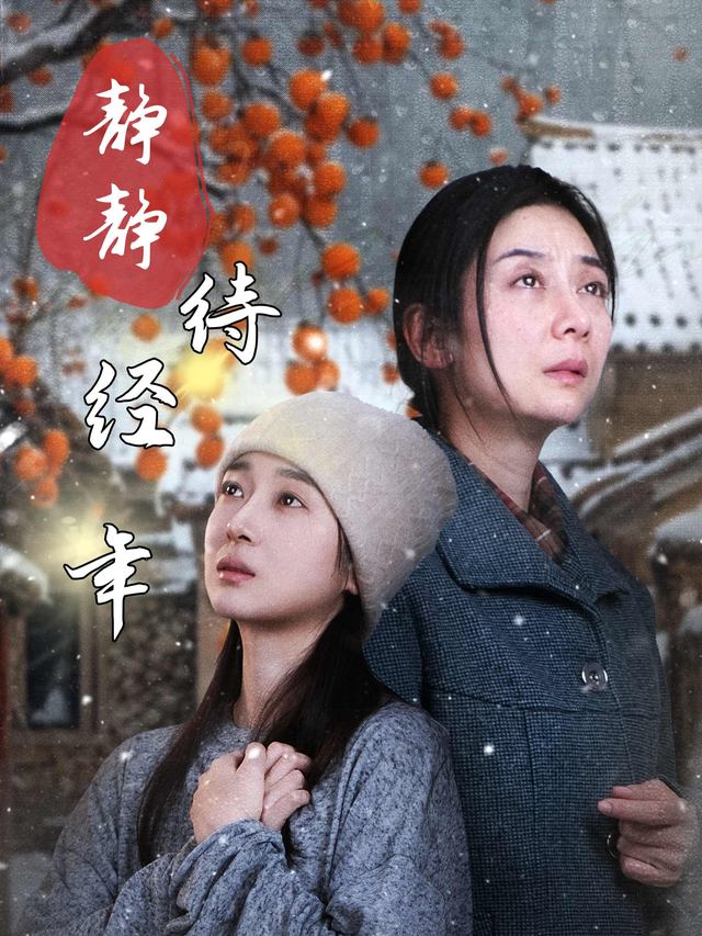 静静待经年封面