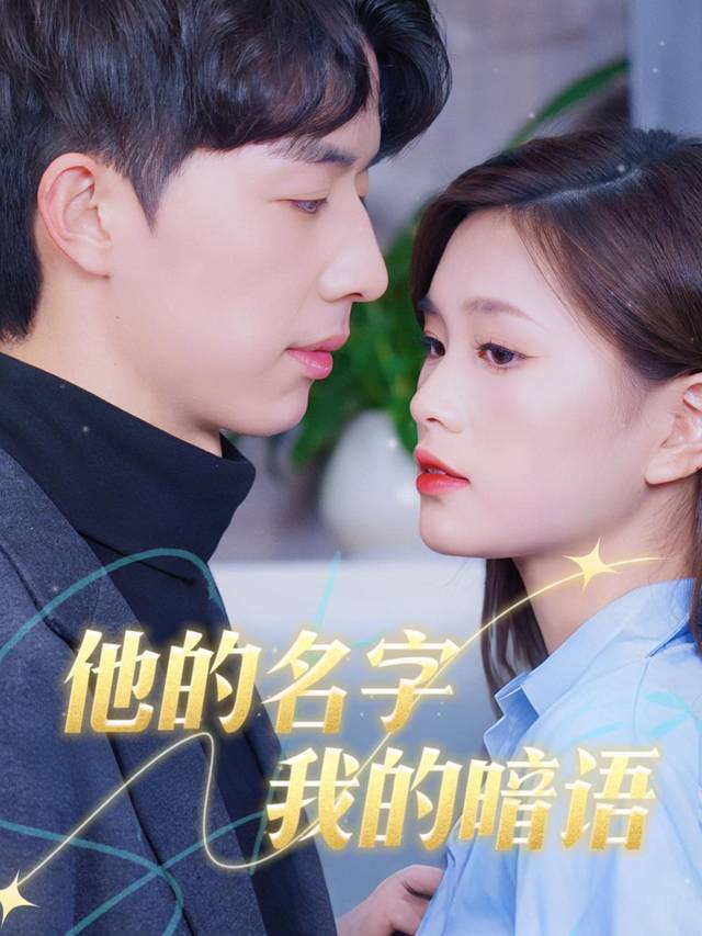 他的名字,我的暗语封面