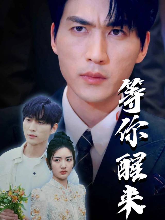 等你醒来封面
