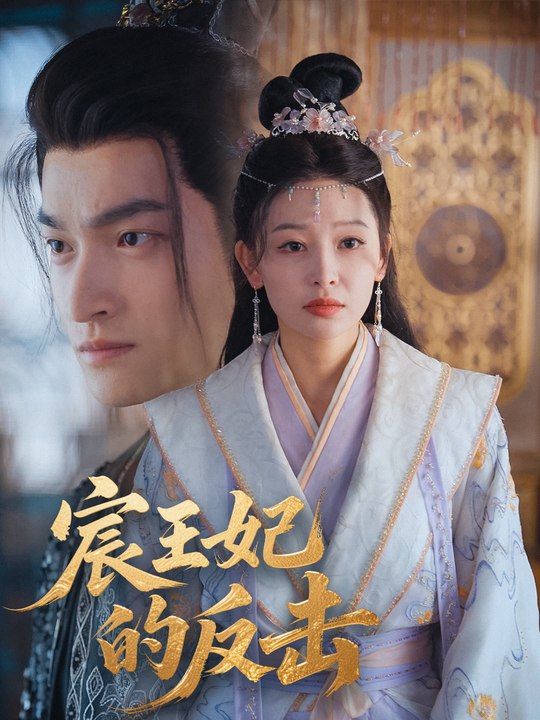 宸王妃的反击封面