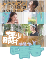 那时年少正青春封面