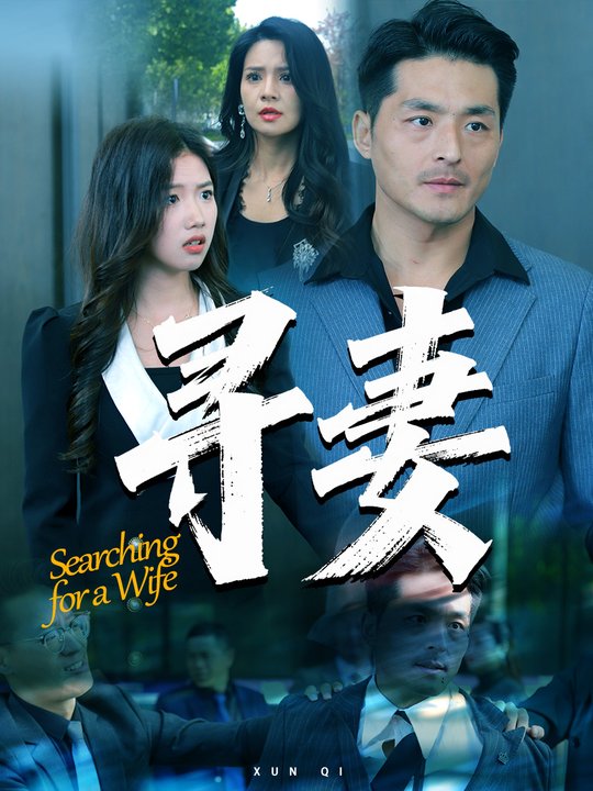寻妻封面
