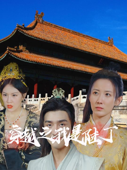 穿越之我是陆丁封面