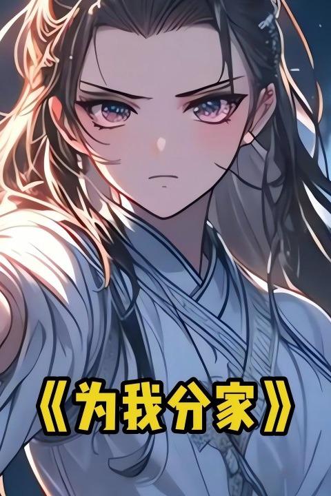 为我分家封面