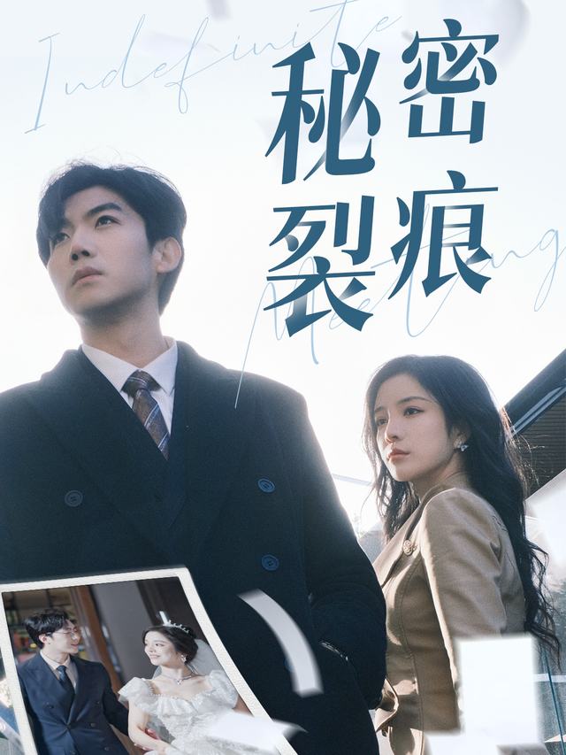 秘密裂痕封面