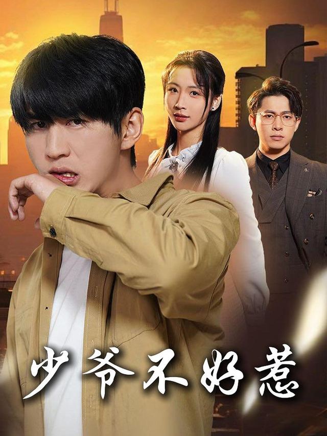 少爷不好惹封面