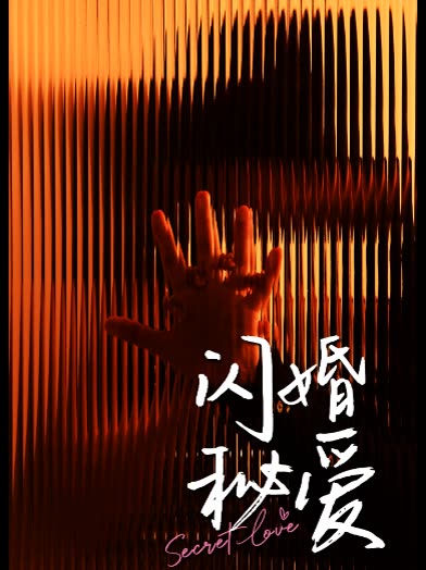 闪婚秘爱封面