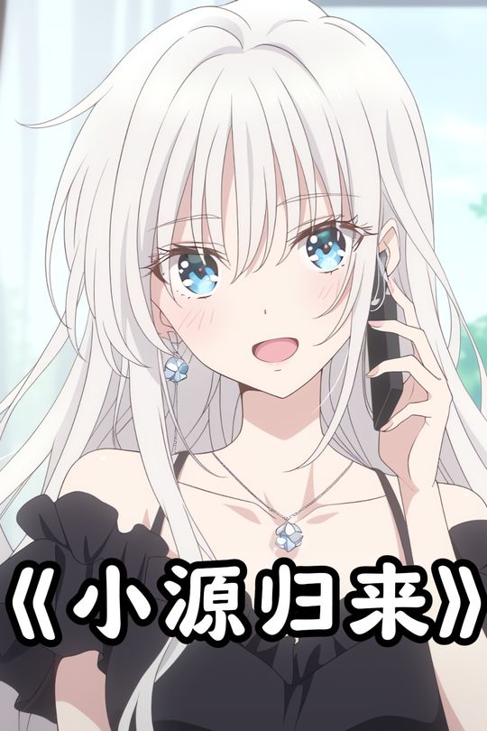 小源归来封面