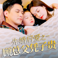 先婚后爱之顾总父凭子贵封面