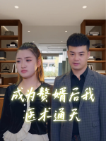 成为赘婿后我医术通天封面