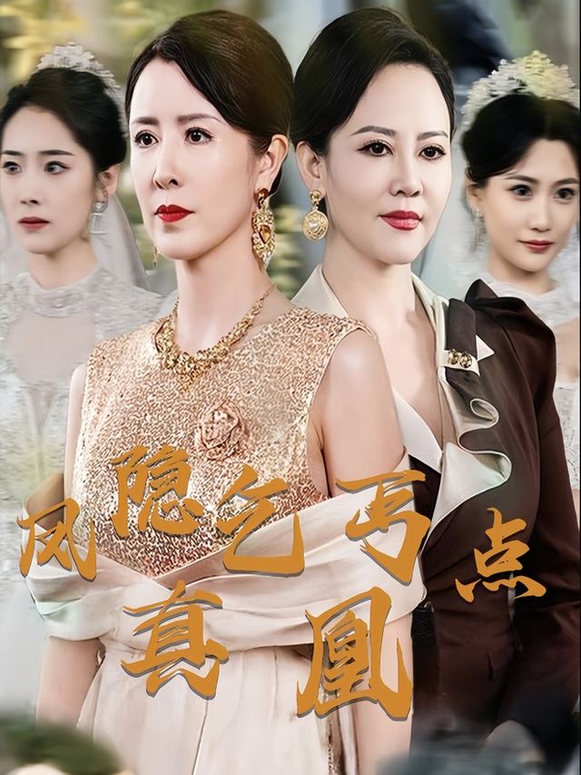 凤隐乞丐点真凰封面
