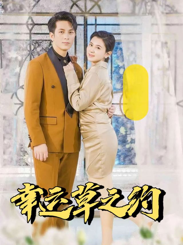 幸运草之约封面
