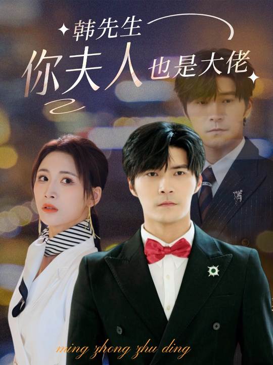 韩先生你夫人也是大佬封面