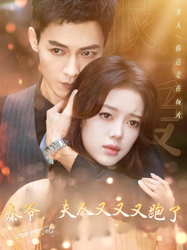 秦爷,夫人又又又跑了封面