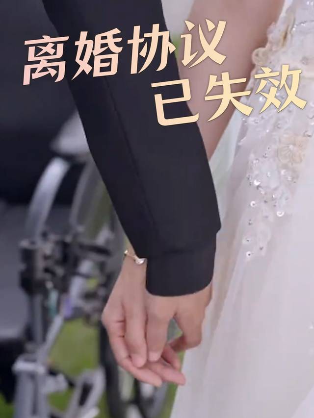 离婚协议已失效封面