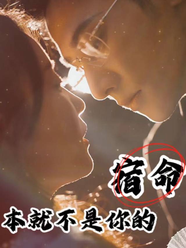 本就不是你的宿命封面
