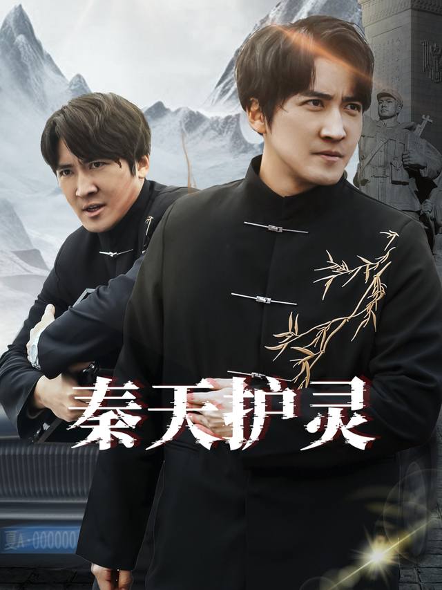 秦天护灵封面