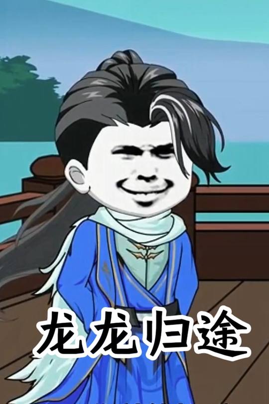 龙龙归途封面