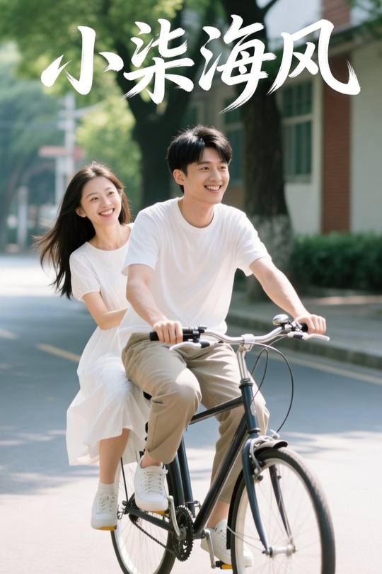 小柒海风封面