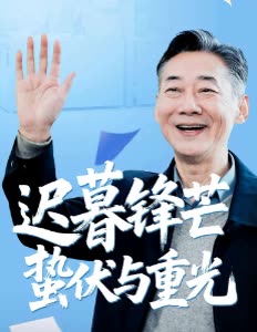 迟暮锋芒蛰伏与重光封面