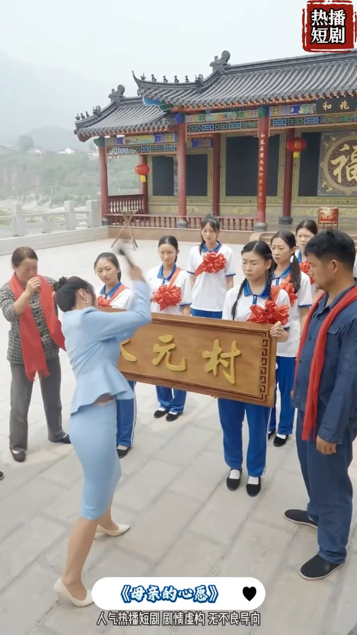 母亲的心愿封面