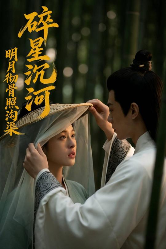碎星沉河,明月彻骨照沟渠封面