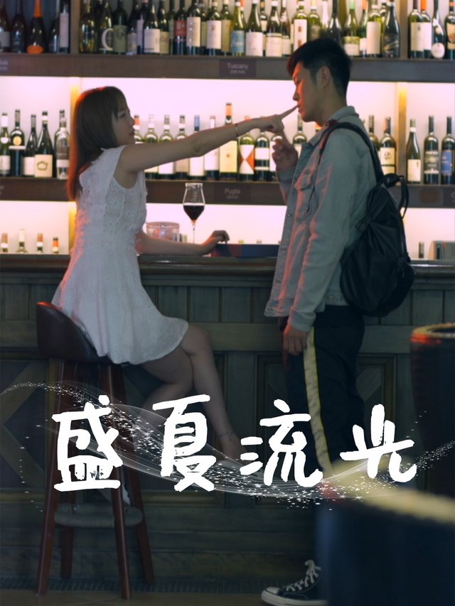 盛夏流光封面