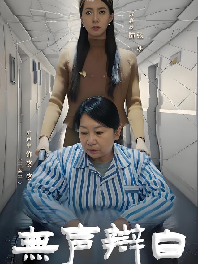 无声辩白封面