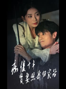 痴傻十年贤妻照我归家路封面