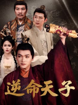 逆命天子封面