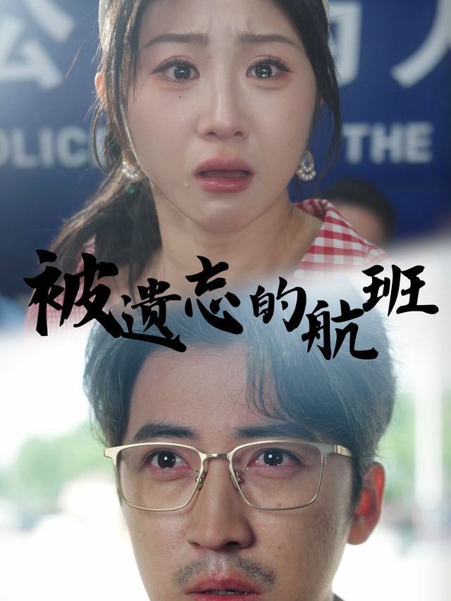 被遗忘的航班封面