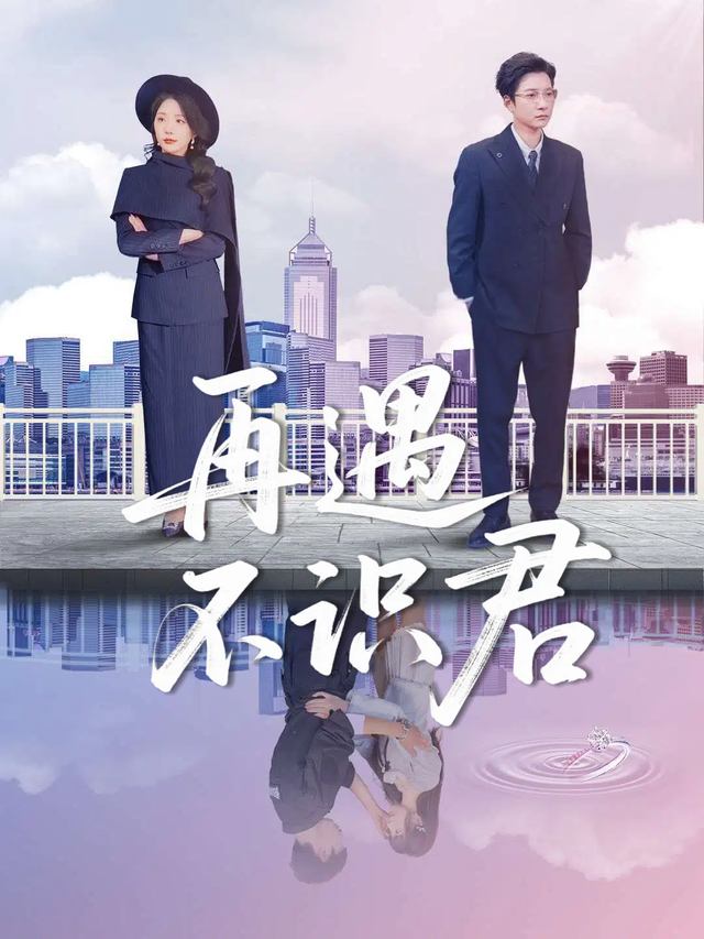 再遇不识君封面