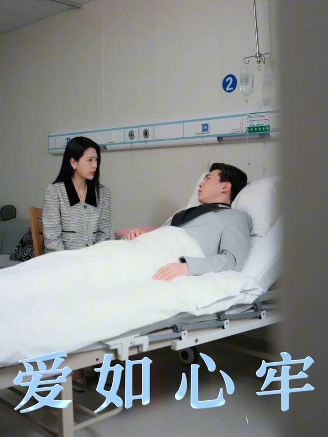 爱如心牢封面