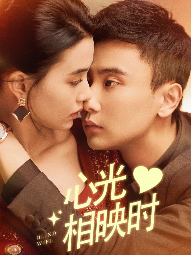心光相映时封面