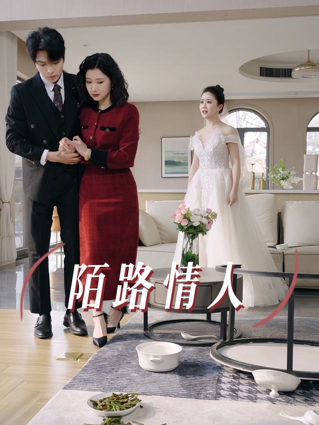 陌路情人封面
