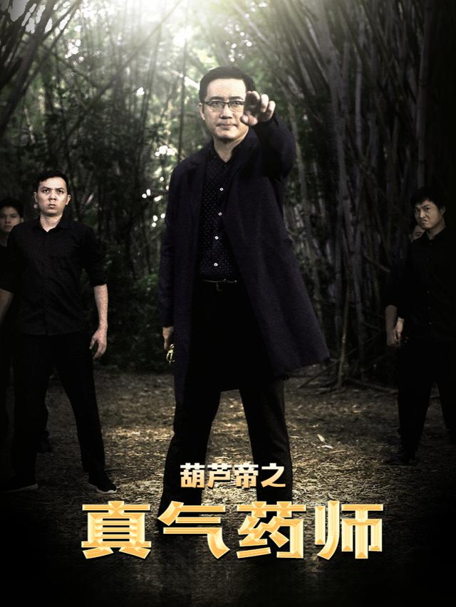 葫芦帝之真气药师封面