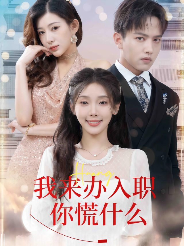 我来办入职你慌什么封面