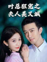 叶总狂宠之夫人美又飒封面