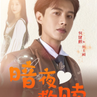 暗夜救赎封面