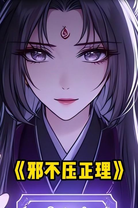 邪不压正理封面
