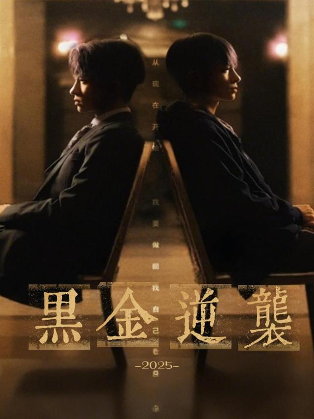 黑金逆袭封面